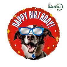 Folijas balons "Cool Doggy", 45 cm