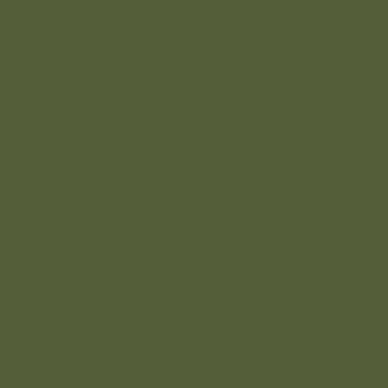 Краска Little Greene цвет 303 - Jewel Beetle