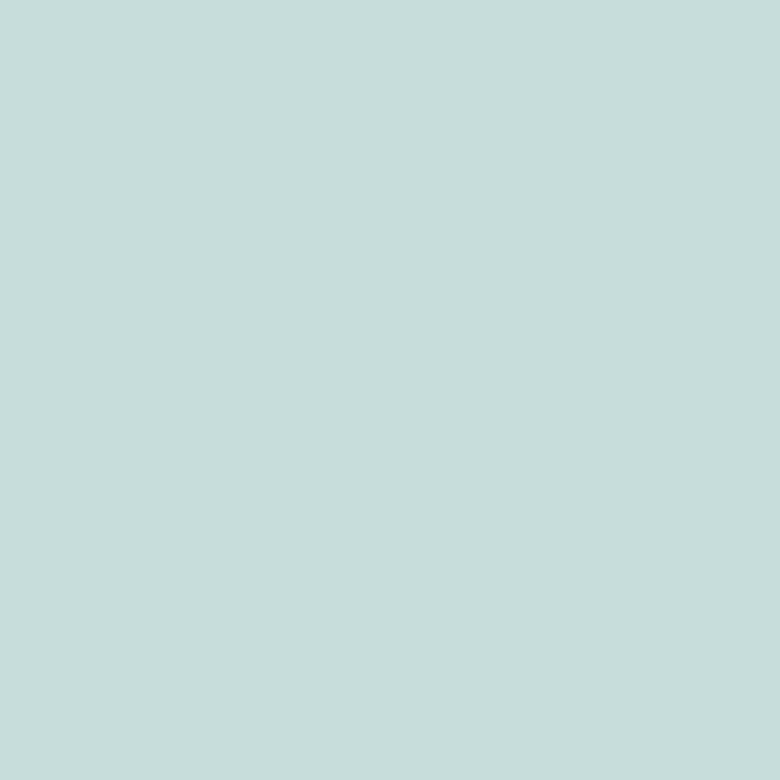Краска Little Greene цвет NSC S 1010-B50G