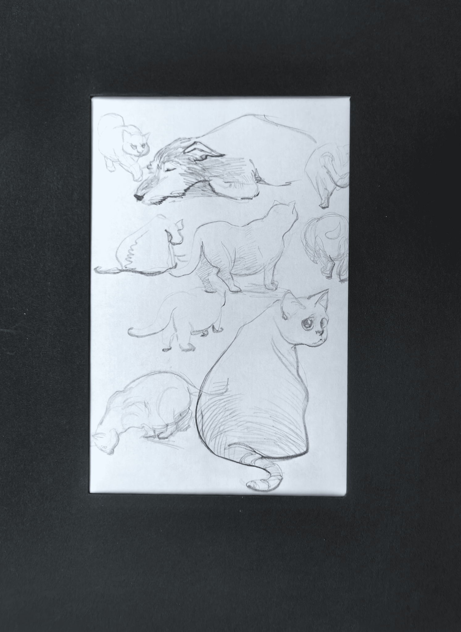 Marfa and Plusha (original)