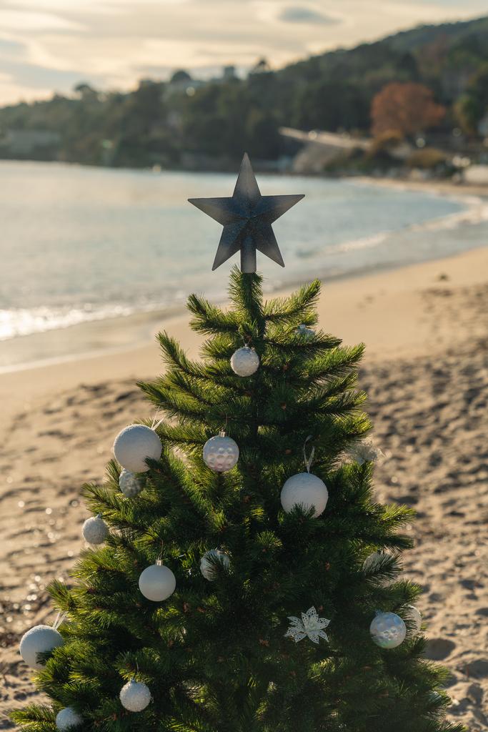 Photo supplimentaire