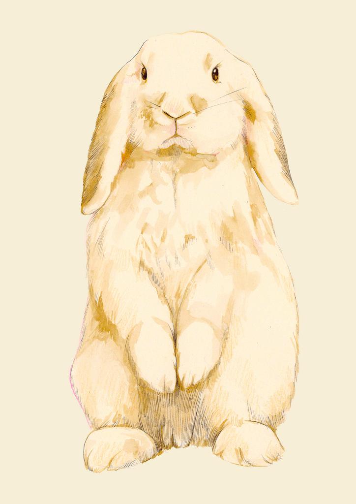 RABBIT ORIGINAL
