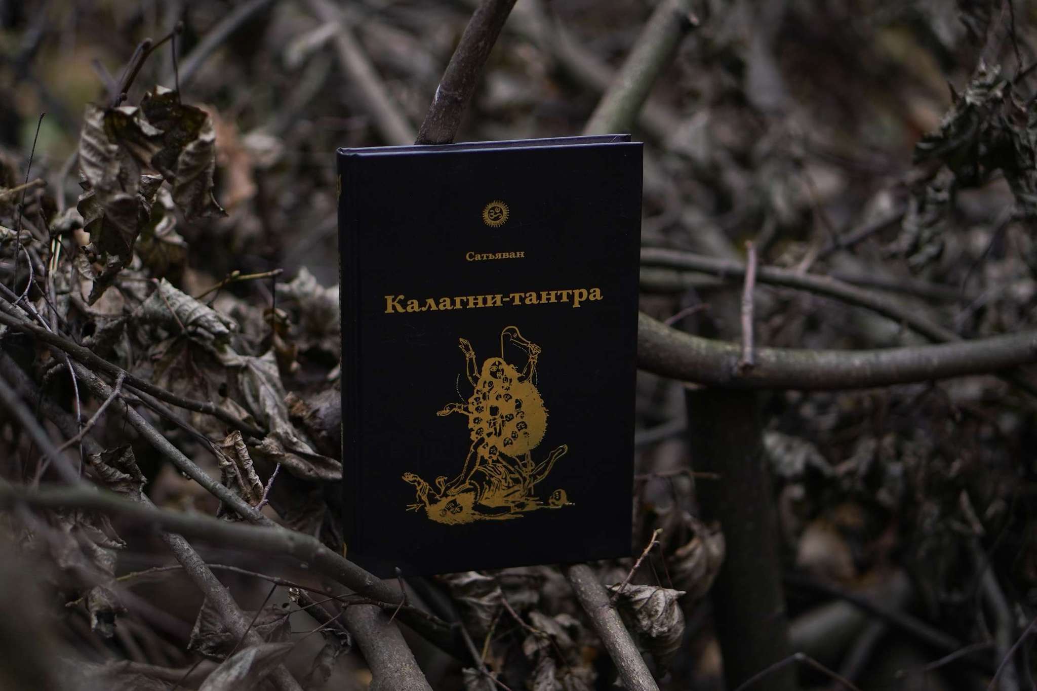 Калагни-тантра (Тантра Черного Пламени) |  Сатьяван