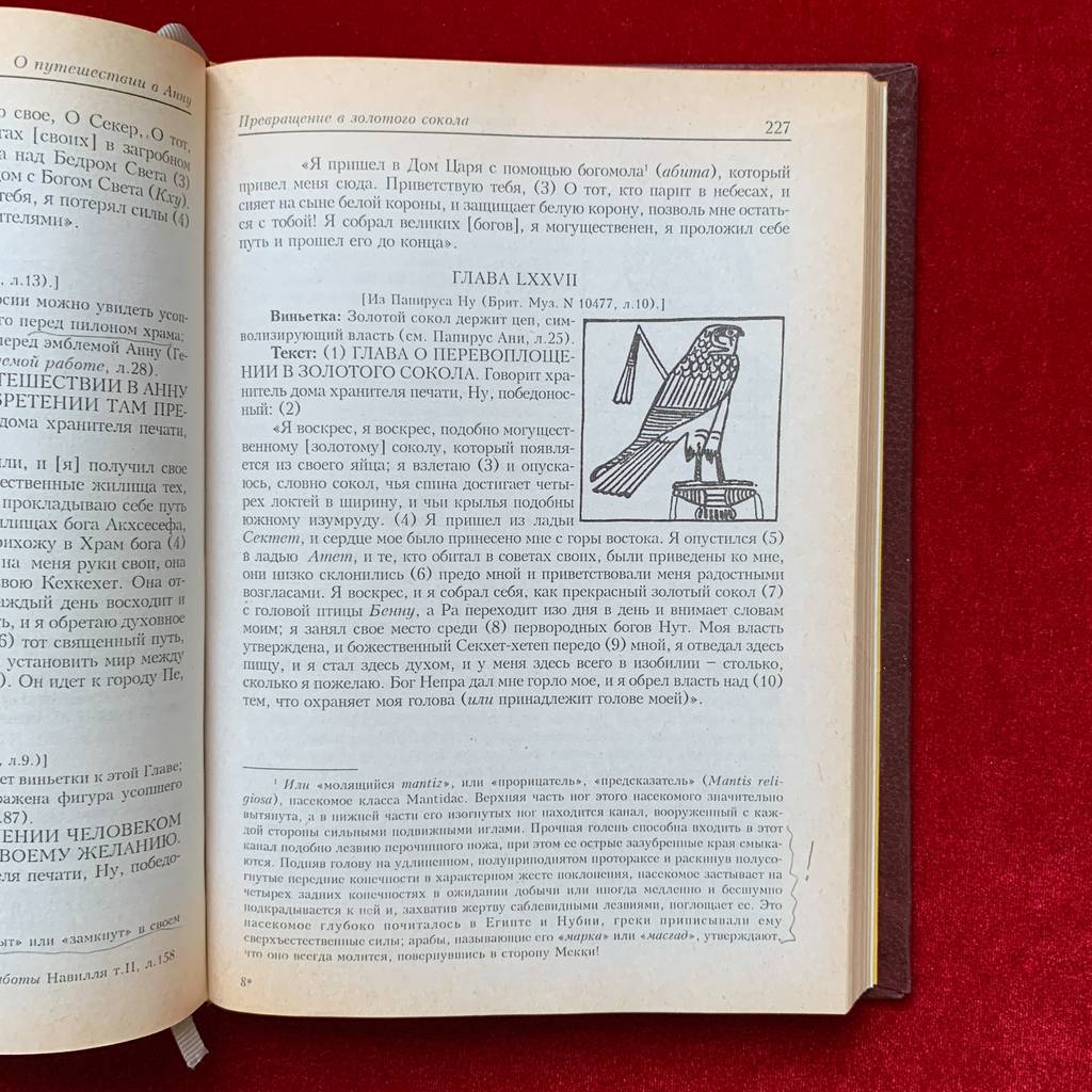 Книги > Путешествие души в царстве мертвых. Египетская книга мертвых |  Уоллис Бадж купить в интернет-магазине