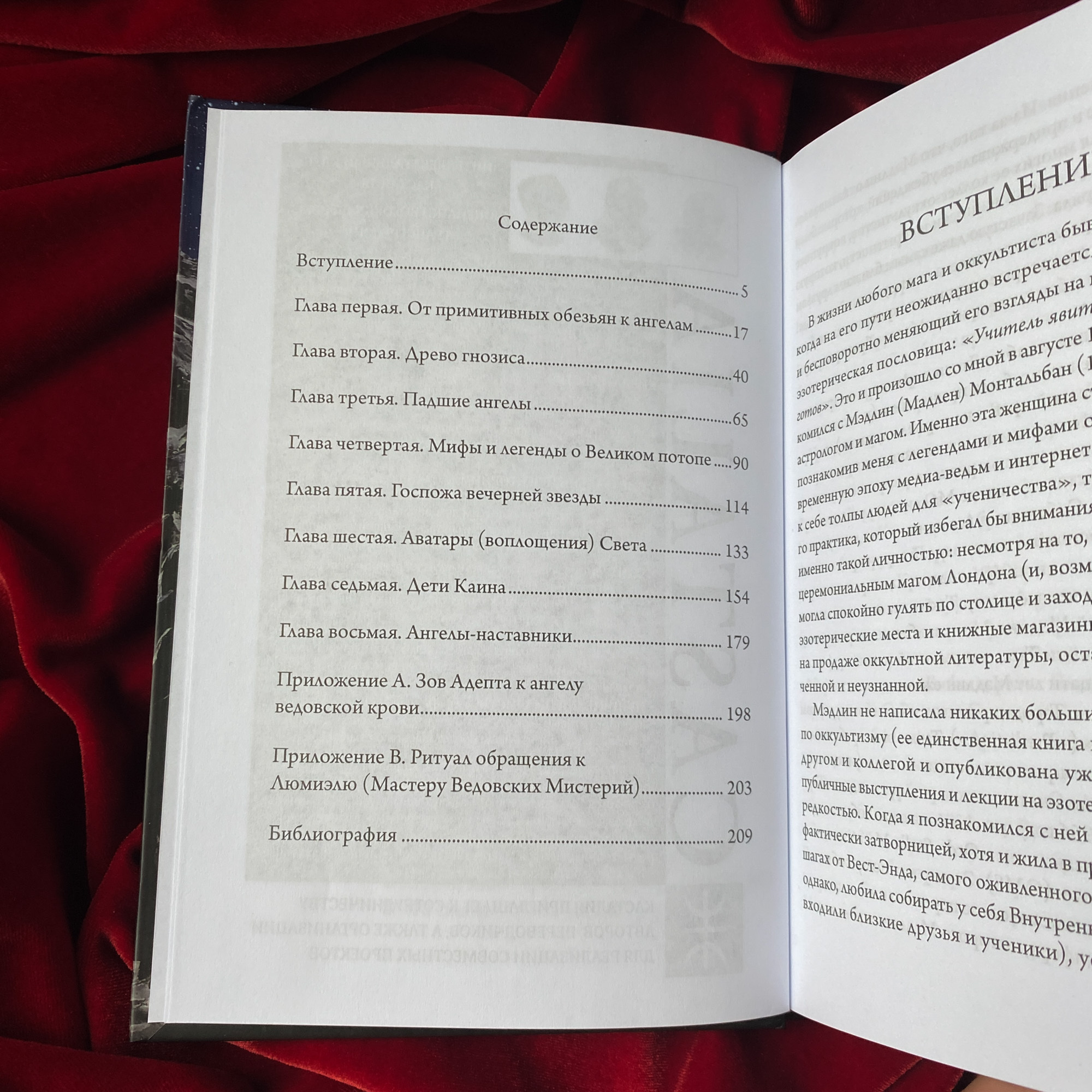 Книга Падших Ангелов | Майкл Говард