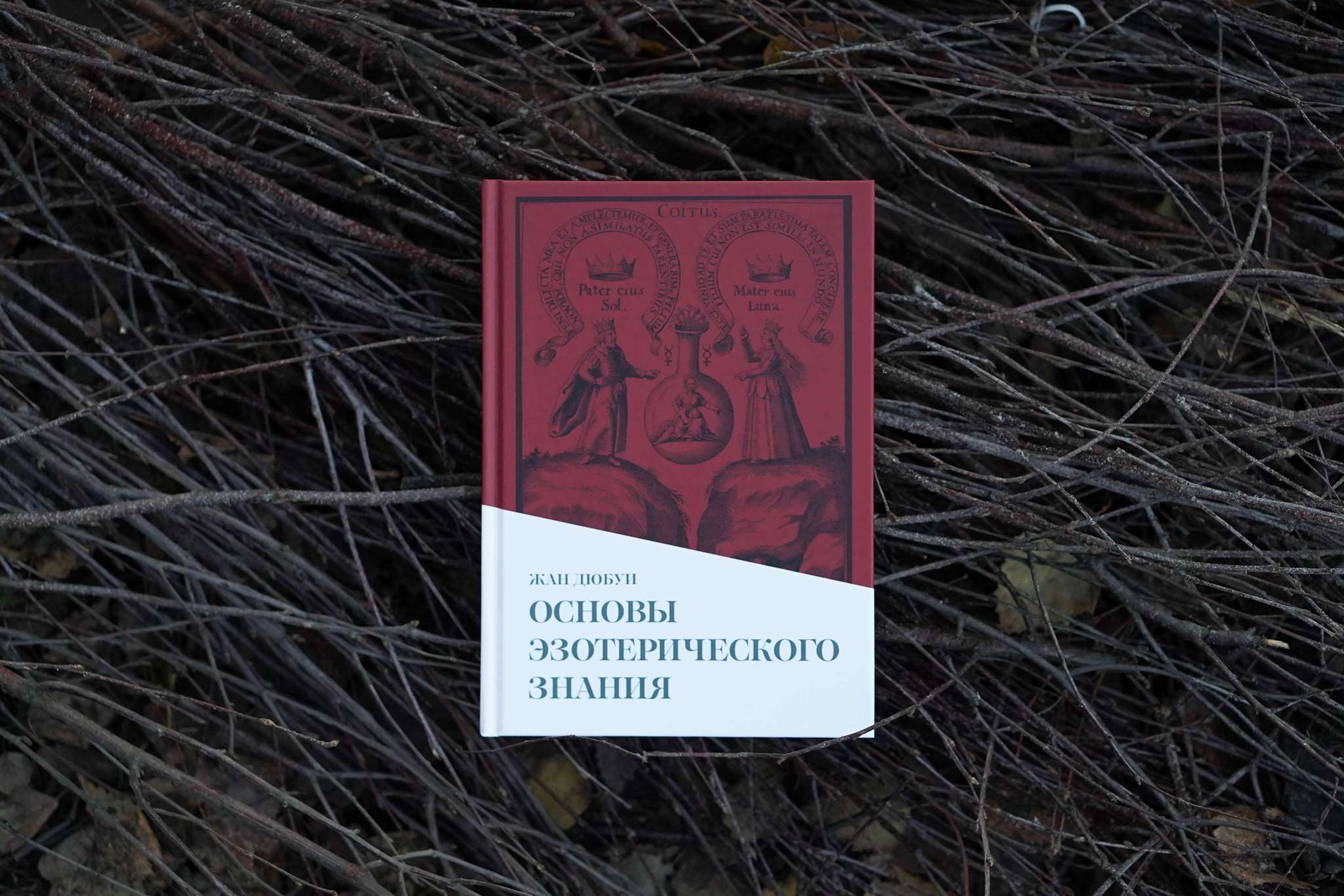 Основы эзотерического знания | Жан Дюбуи