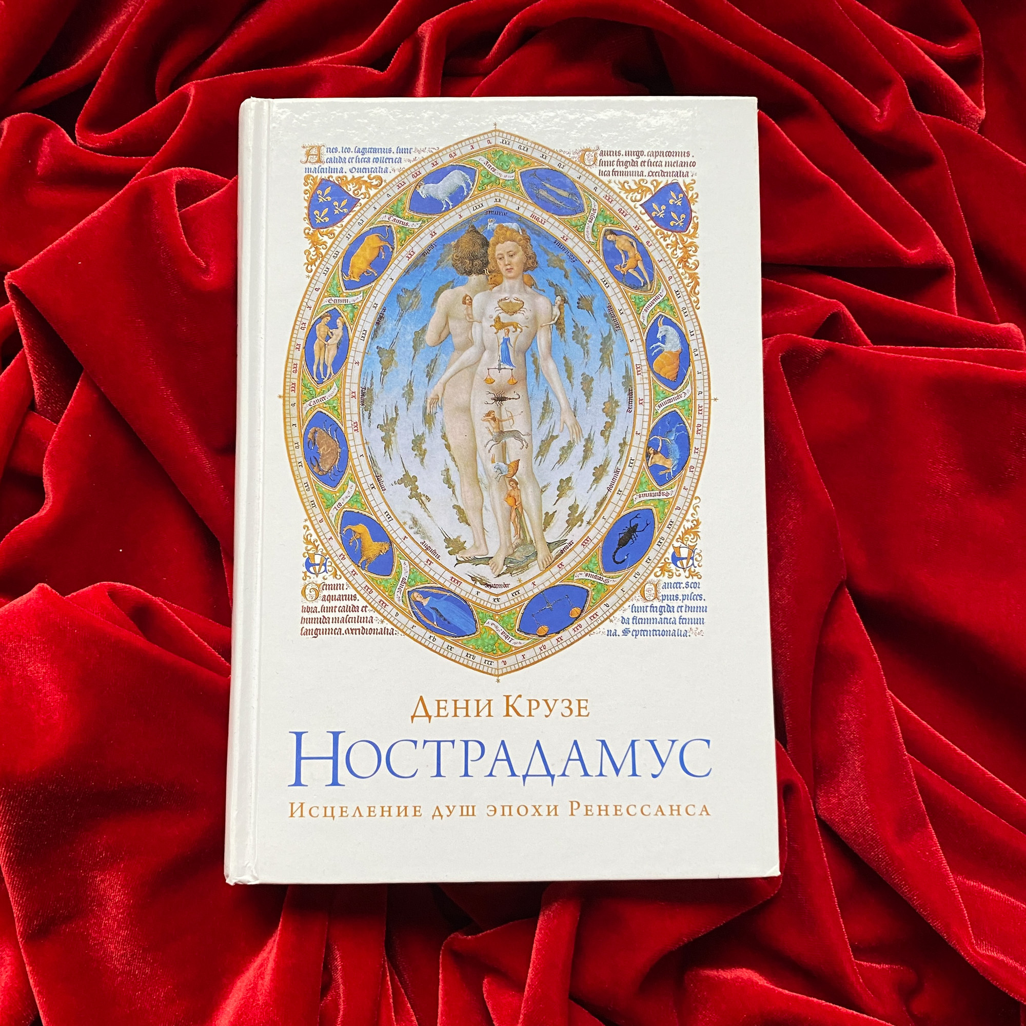 Нострадамус. Исцеление душ эпохи Ренессанса | Дени Крузе