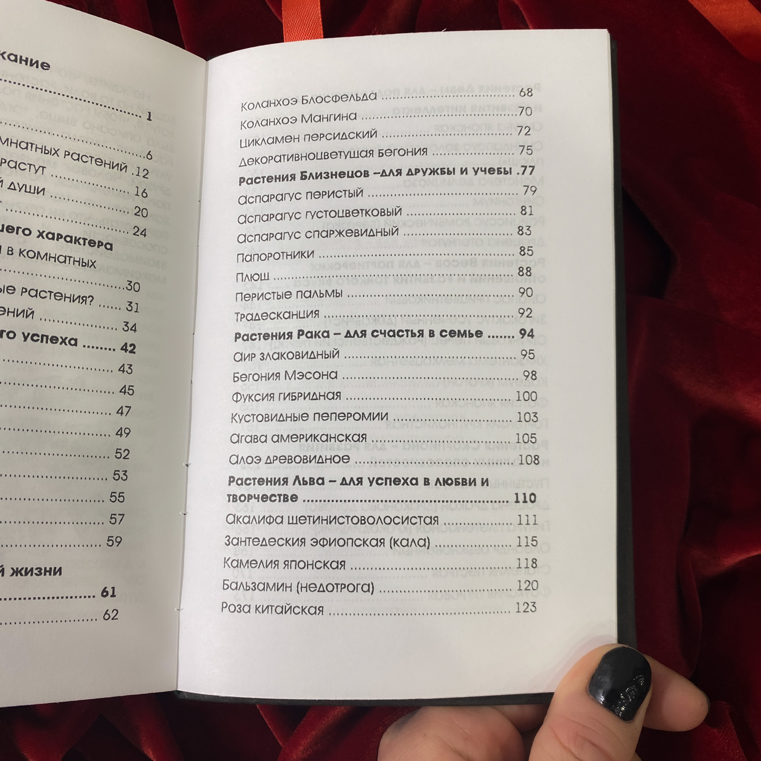 Тайная сила комнатных растений | Елена Мазова (издание в крафт-обложке)