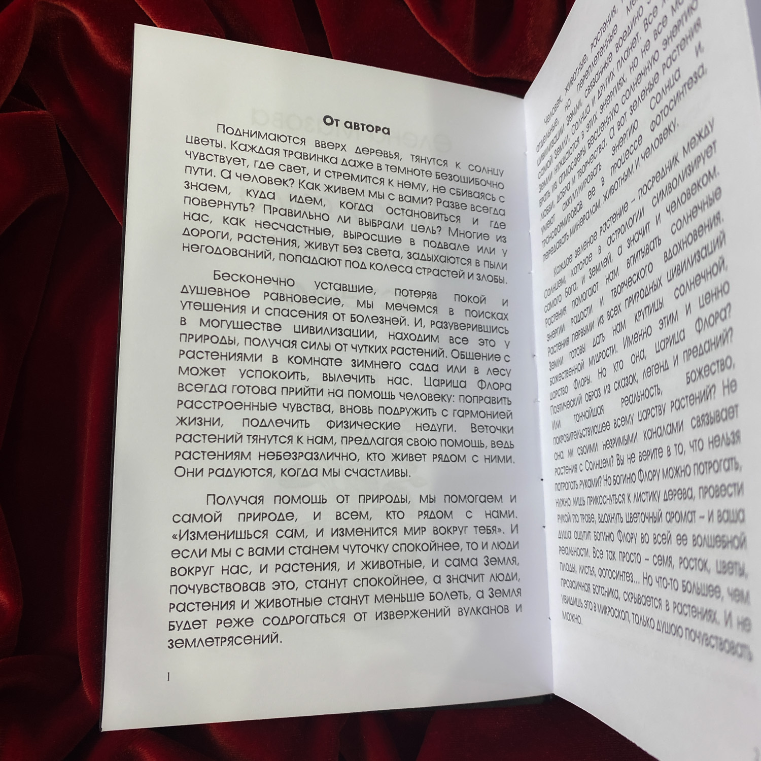 Тайная сила комнатных растений | Елена Мазова (издание в крафт-обложке)
