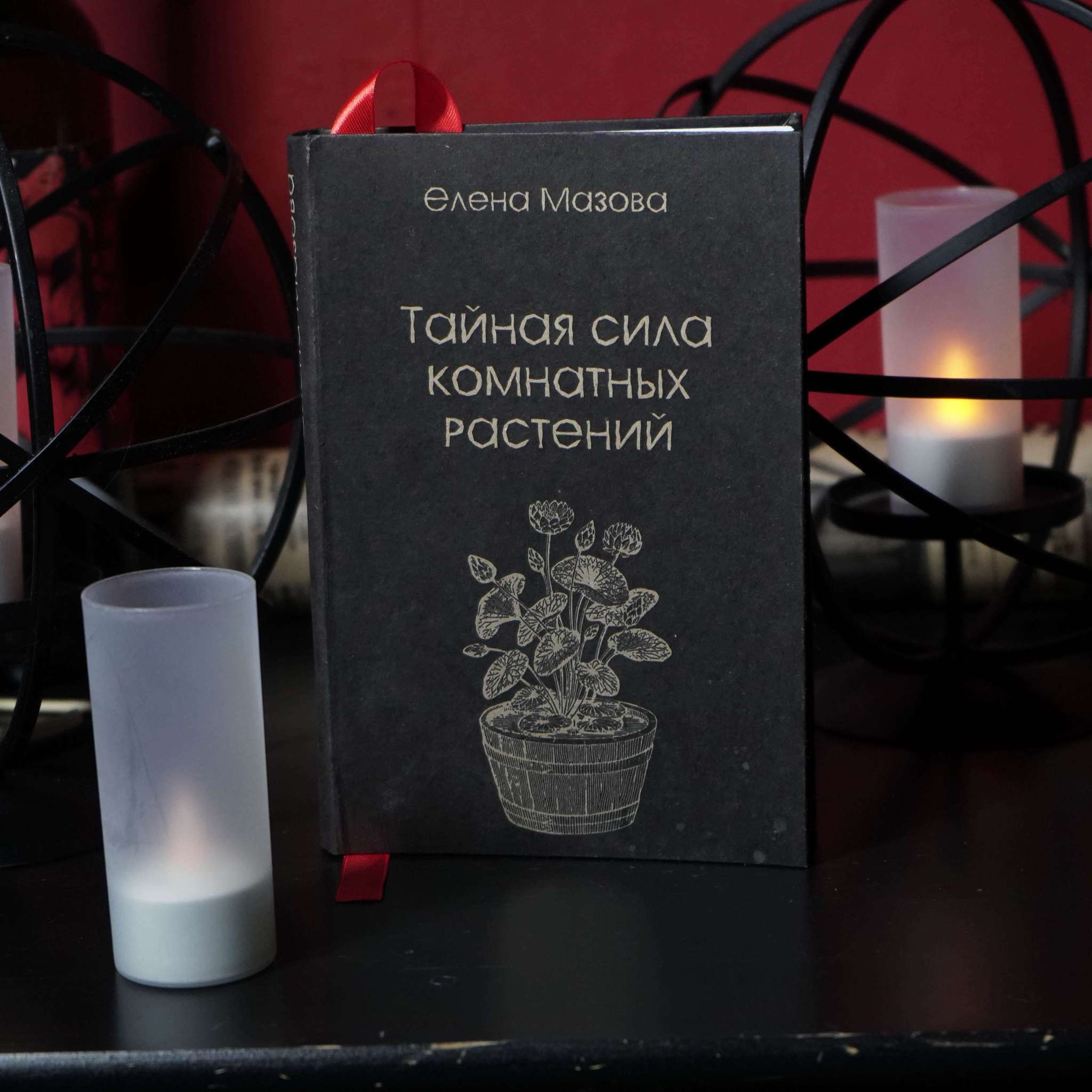 Тайная сила комнатных растений | Елена Мазова (издание в крафт-обложке)