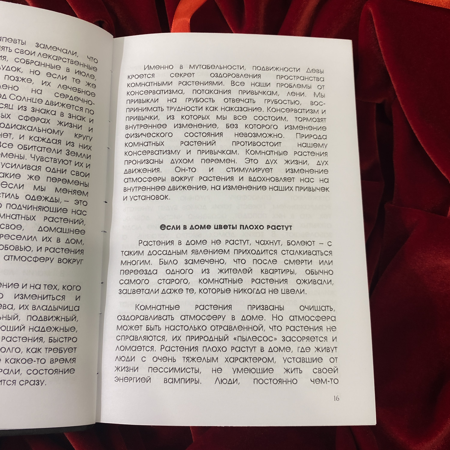 Тайная сила комнатных растений | Елена Мазова (издание в крафт-обложке)