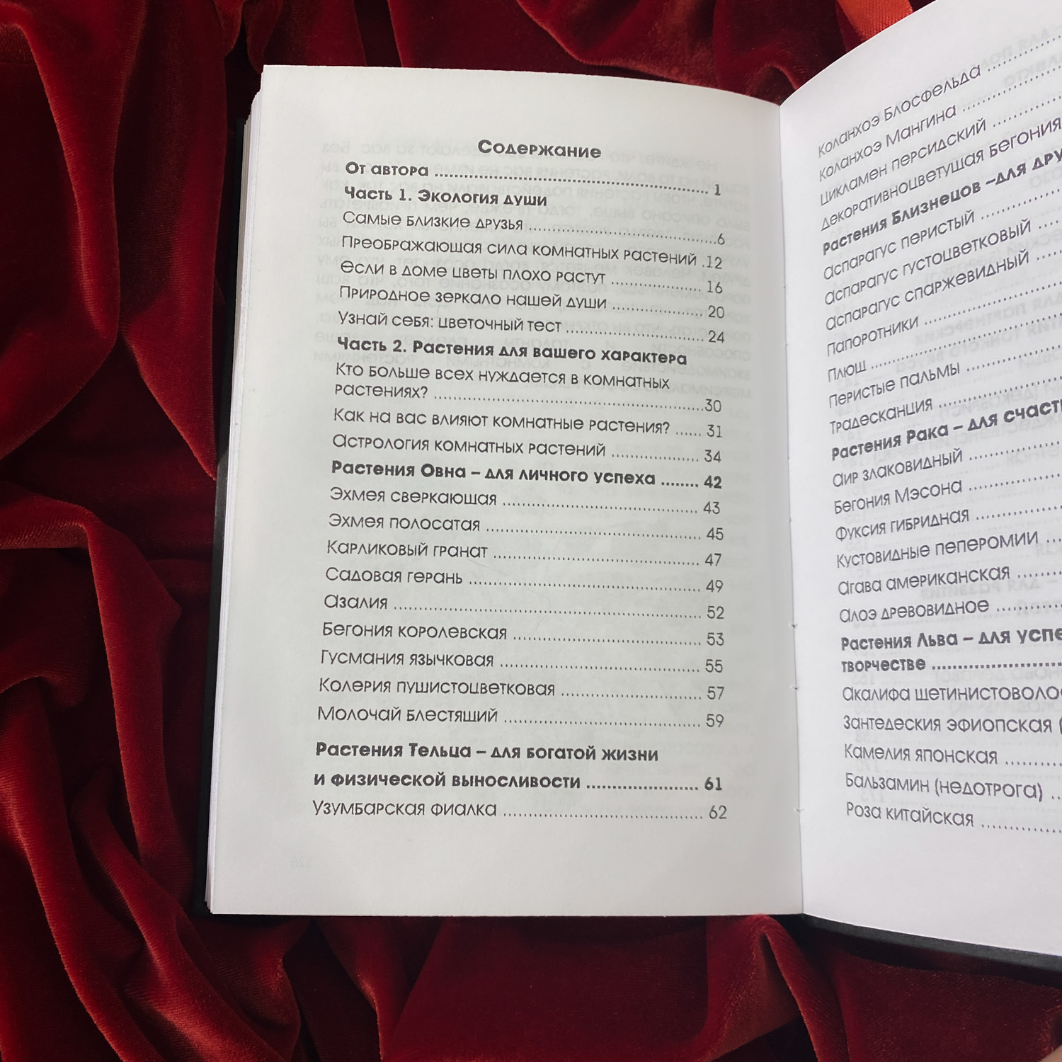 Тайная сила комнатных растений | Елена Мазова (издание в крафт-обложке)