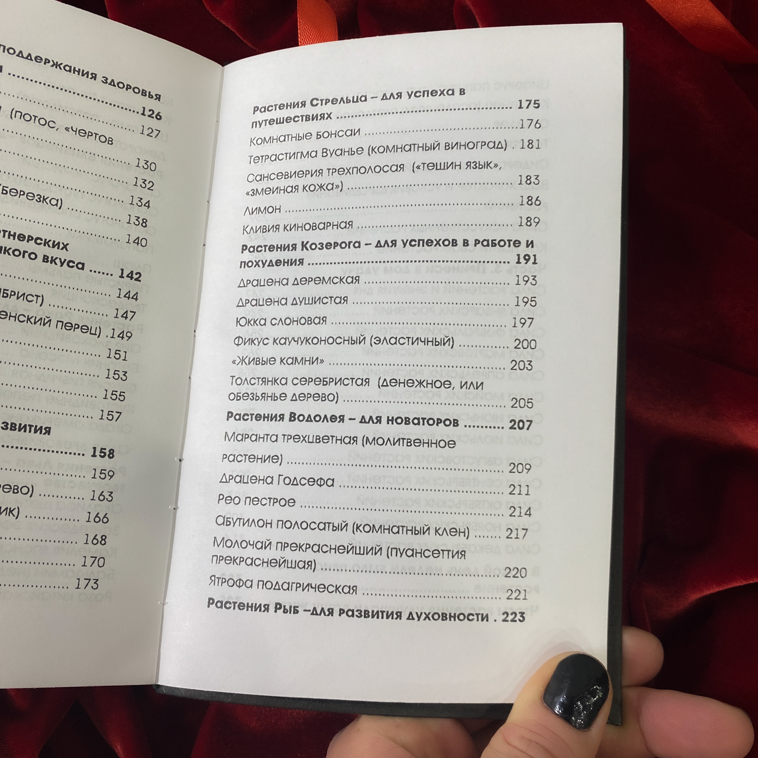 Тайная сила комнатных растений | Елена Мазова (издание в крафт-обложке)