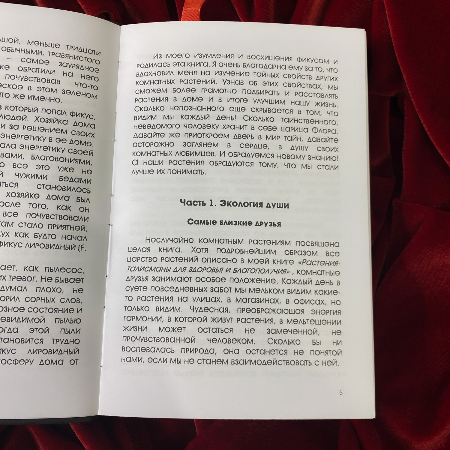 Тайная сила комнатных растений | Елена Мазова (издание в крафт-обложке)