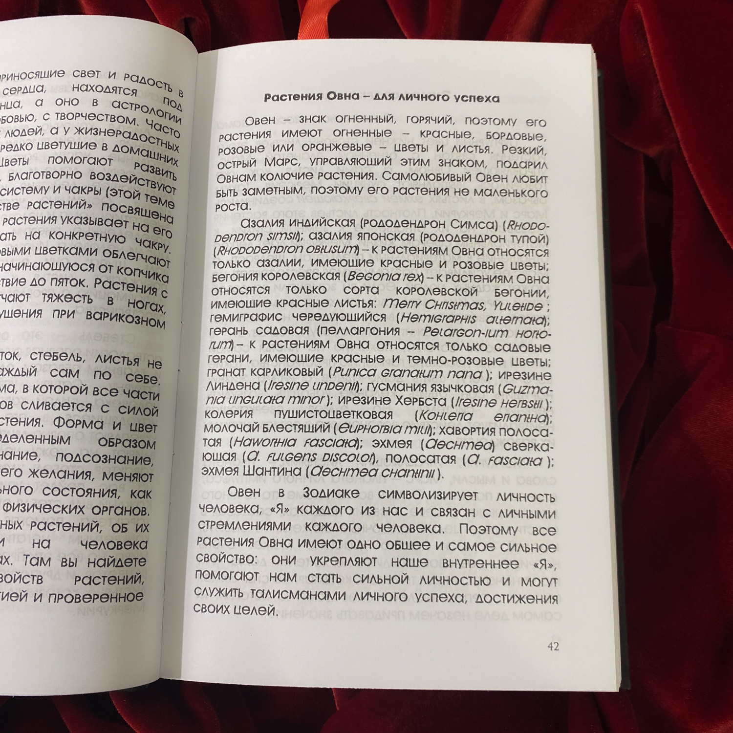 Тайная сила комнатных растений | Елена Мазова (издание в крафт-обложке)