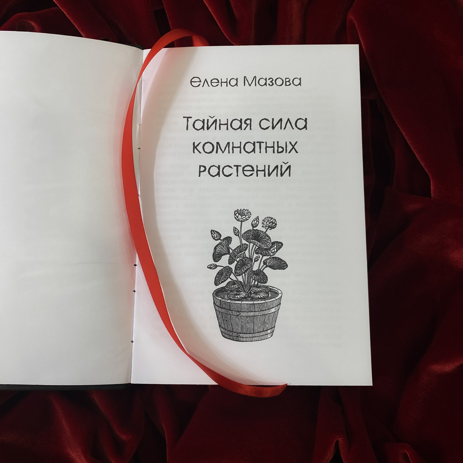 Тайная сила комнатных растений | Елена Мазова (издание в крафт-обложке)