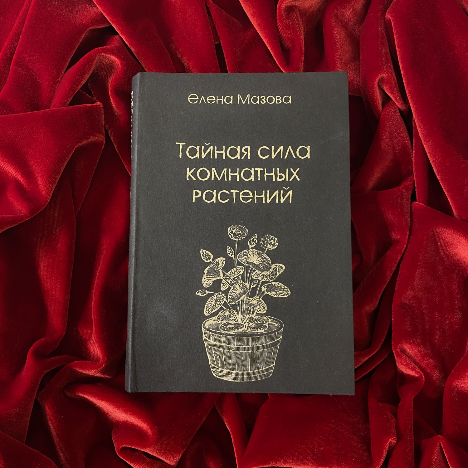 Тайная сила комнатных растений | Елена Мазова (издание в крафт-обложке)