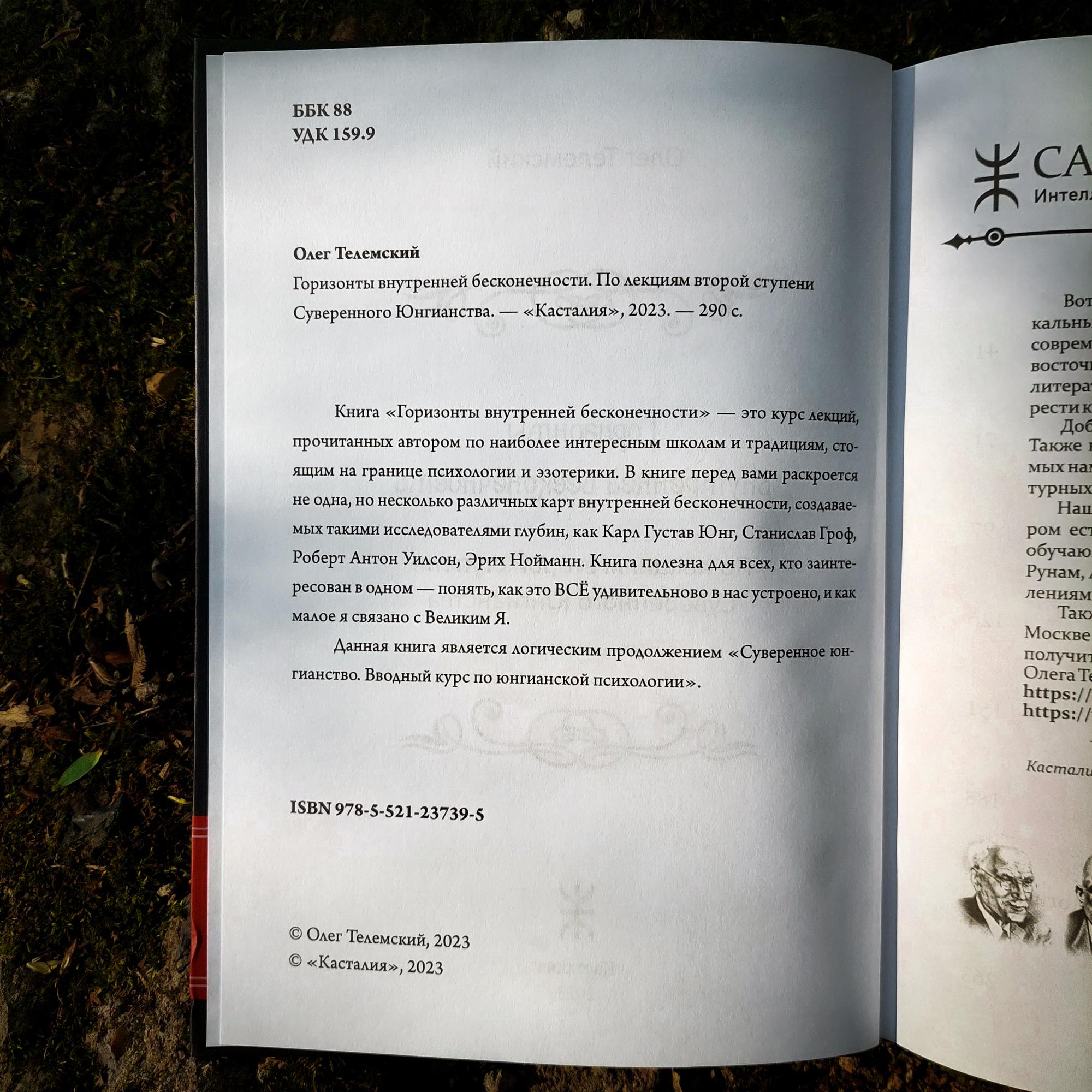 Горизонты внутренней бесконечности. По лекциям второй ступени Суверенного Юнгианства | Олег Телемский