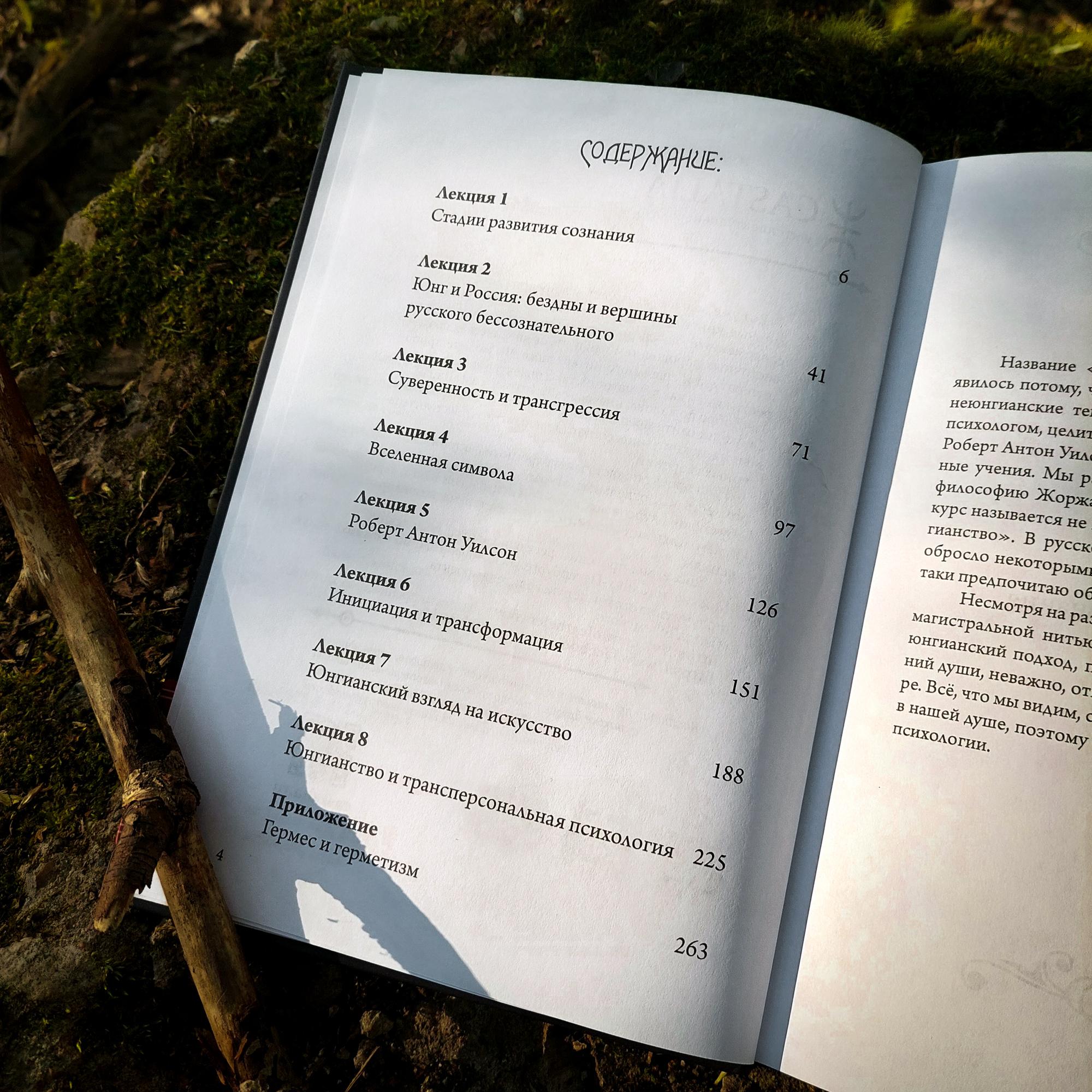 Горизонты внутренней бесконечности. По лекциям второй ступени Суверенного Юнгианства | Олег Телемский