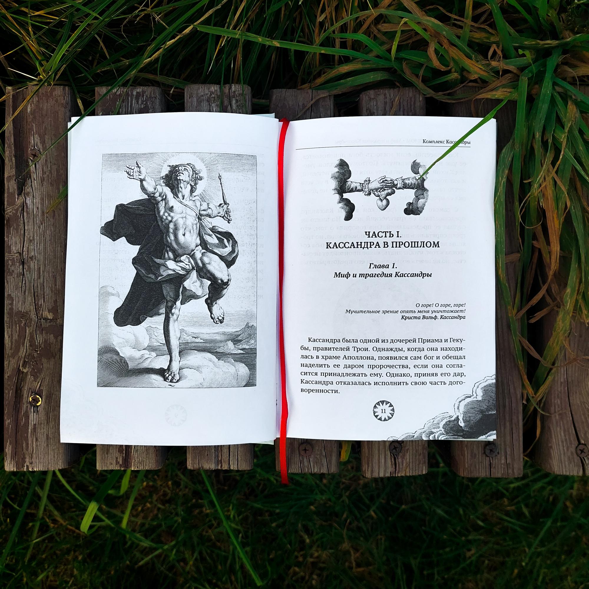 Комплекс Кассандры. Cовременный взгляд на истерию | Лори Лейтон Шапира