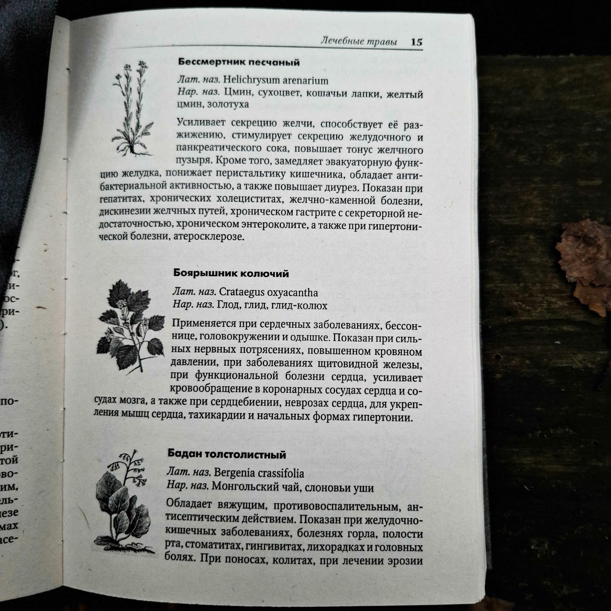 Секреты целительства и магия трав