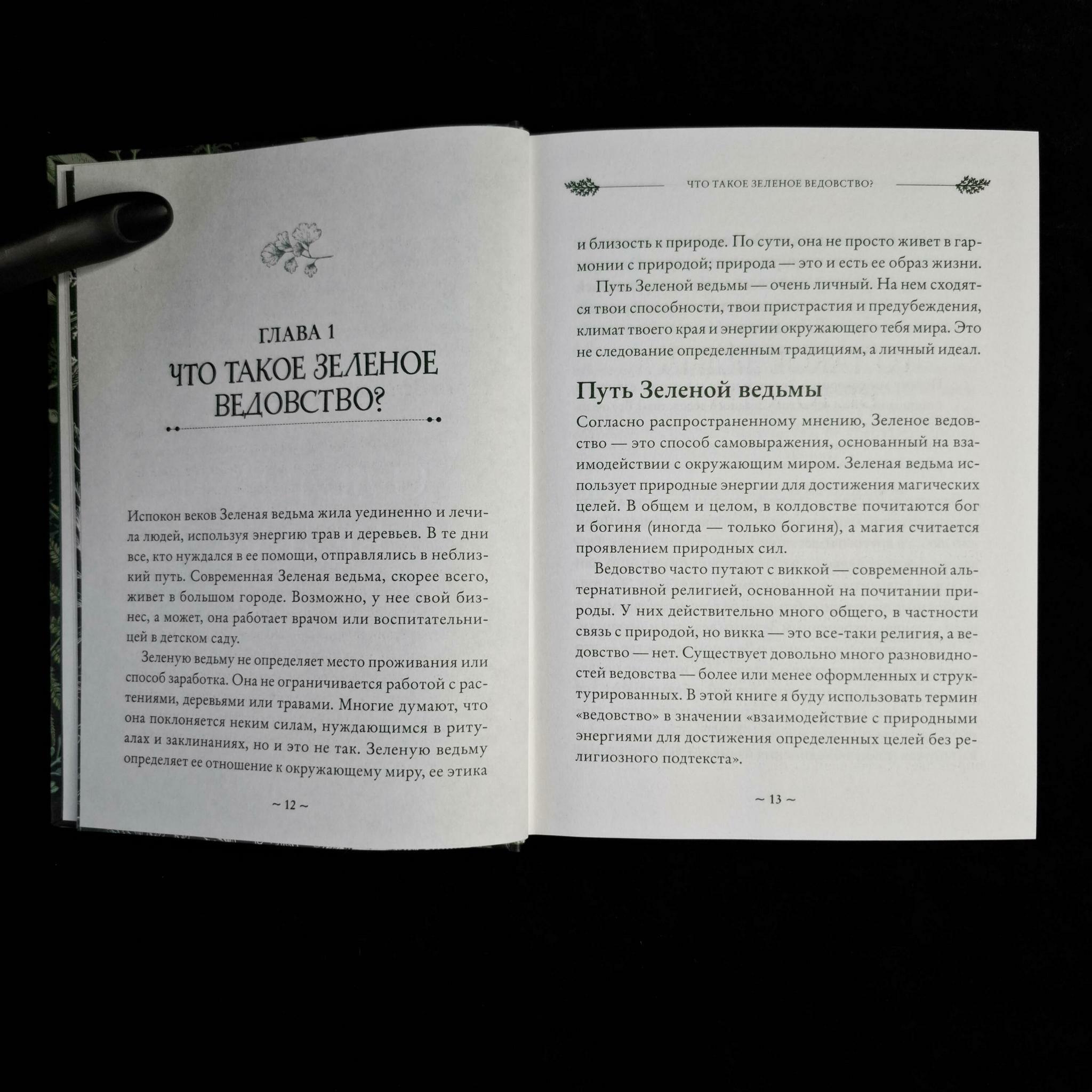 Green Witch. Полный путеводитель по природной магии трав, цветов, эфирных масел и многому другому