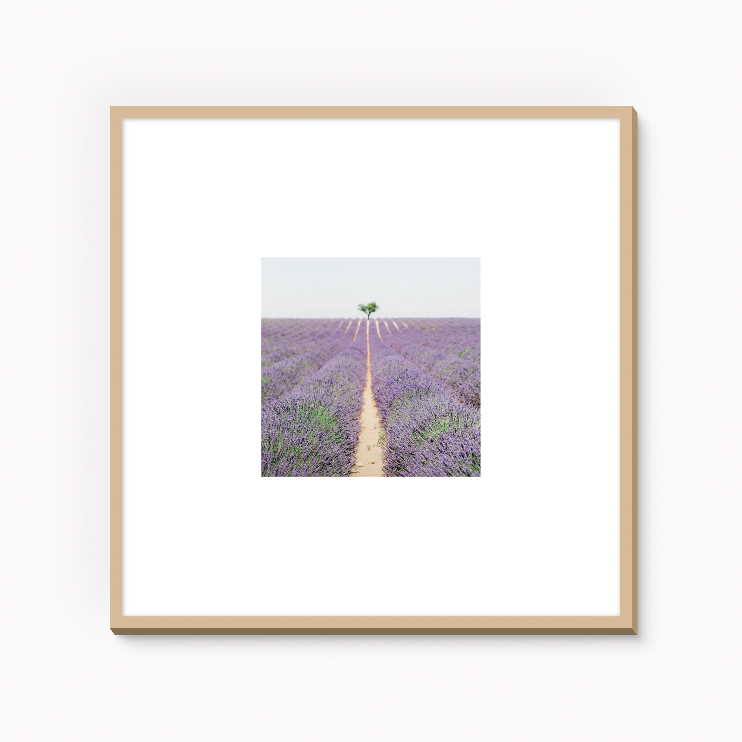 Framed fine art photography print of lavender field in Provence