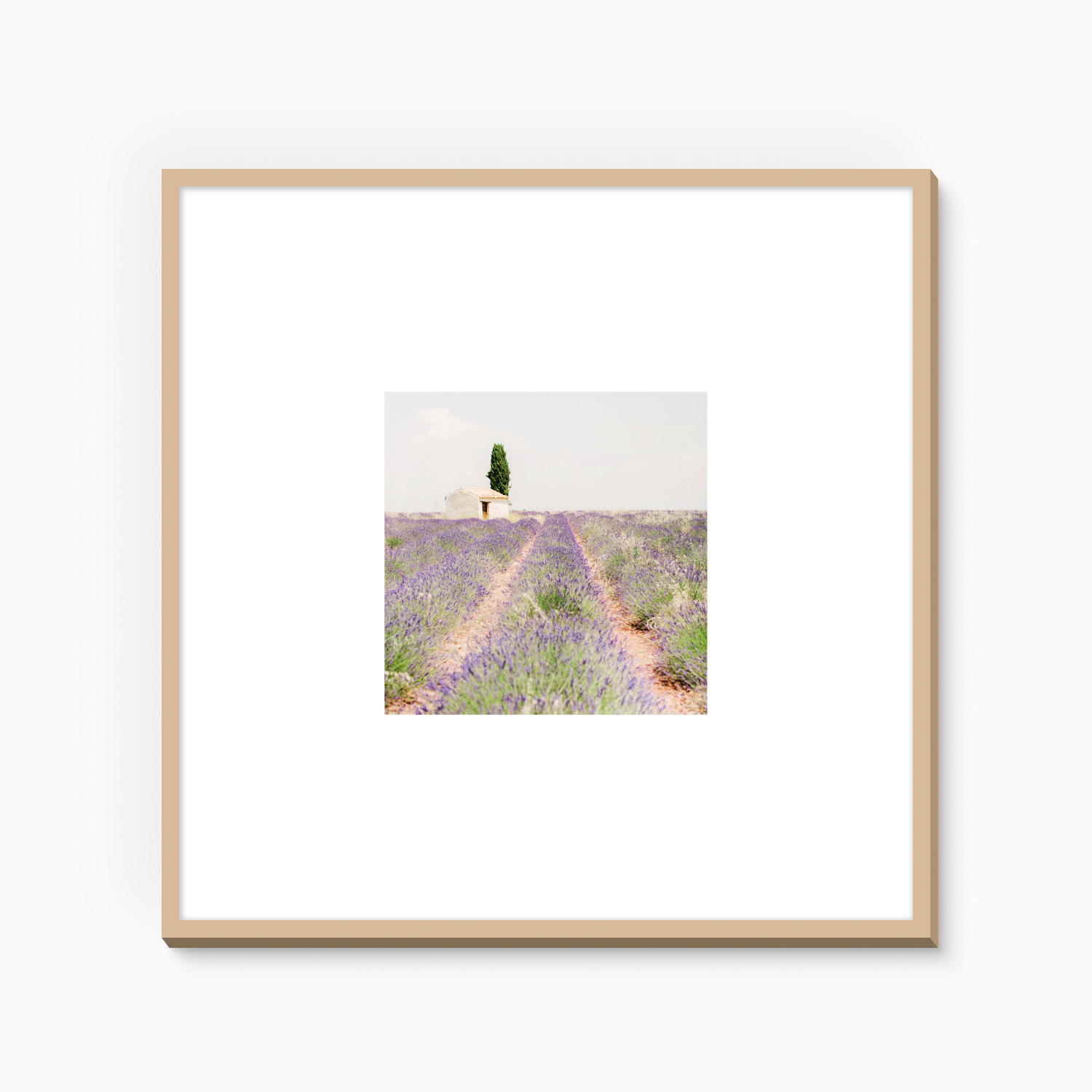 Framed fine art photography print of lavender field in Provence