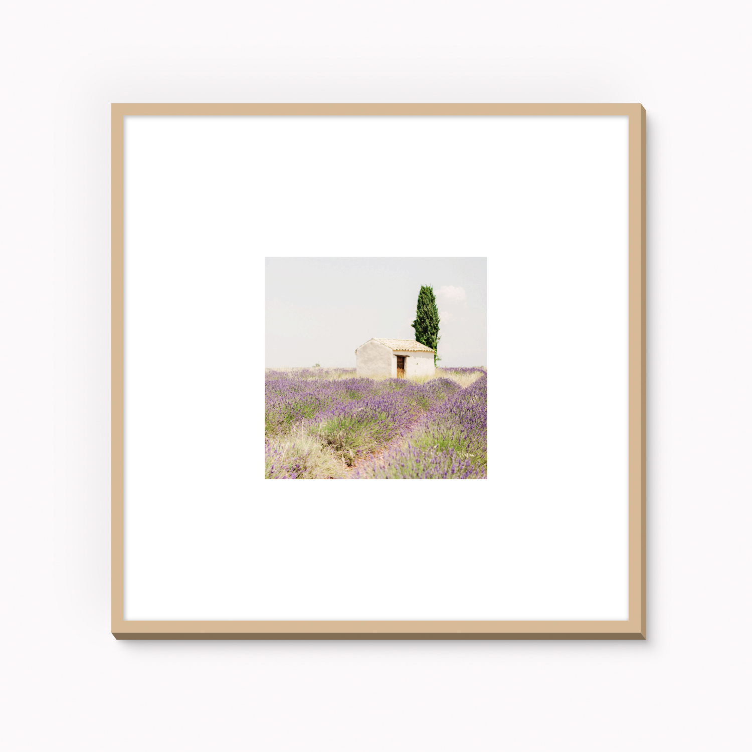 Framed fine art photography print of lavender field in Provence