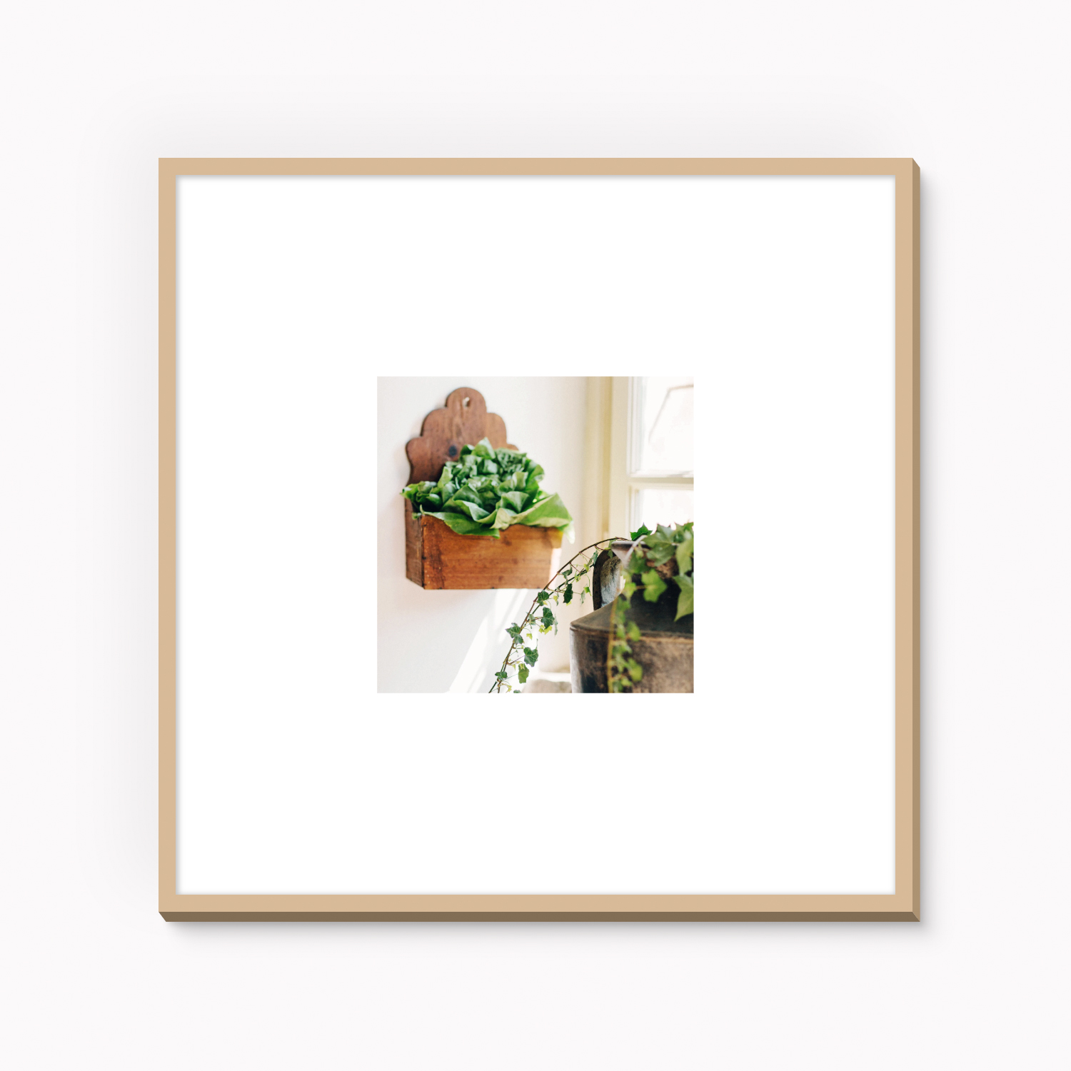 Notes from Italy III