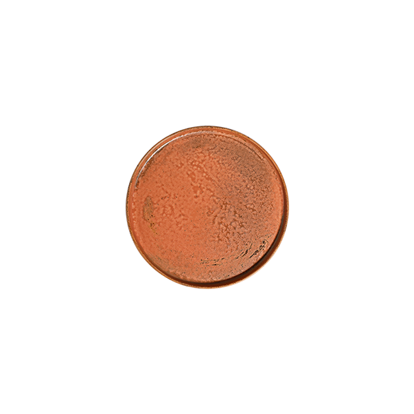 Тарелка с вертикальным бортом 21 см ID FINE, Fall Terra (6)