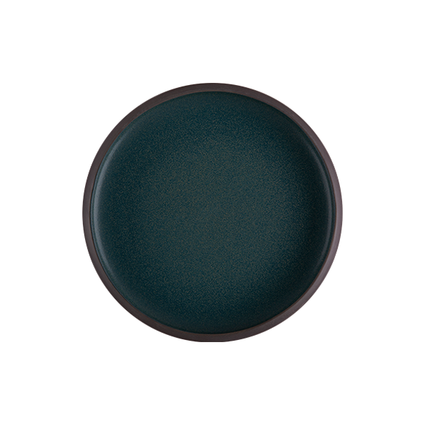 Тарелка 27 см ROOTS, Teal (6)