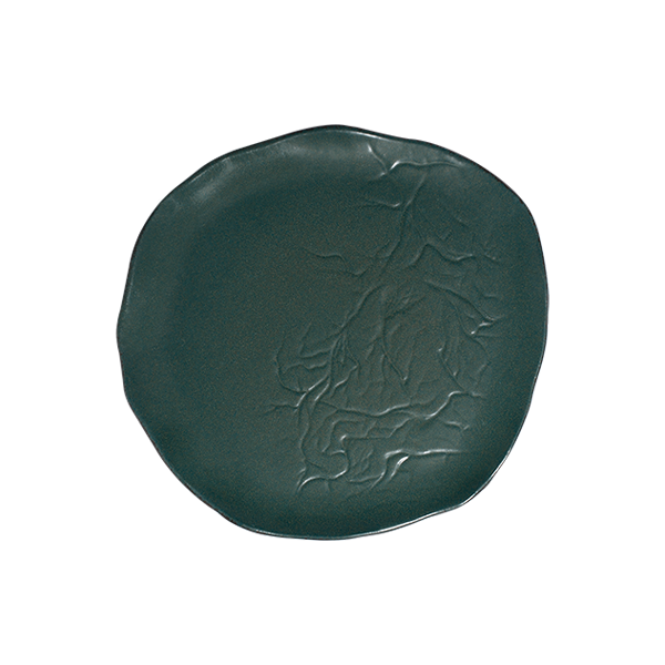 Тарелка 29 см ROOTS, Teal (6)