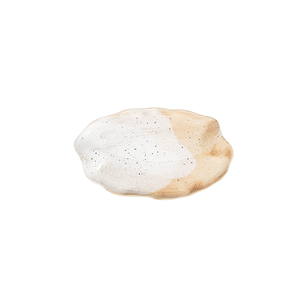 Блюдо овальное 23 см ROOTS, Cameo (6)