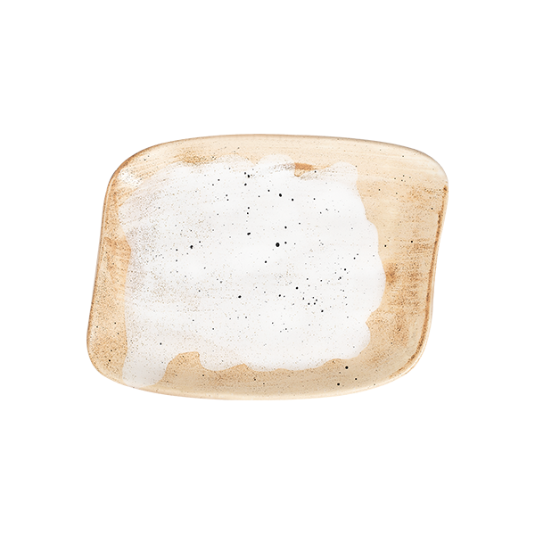 Блюдо прямоугольное 30х22 ROOTS, Cameo (6)