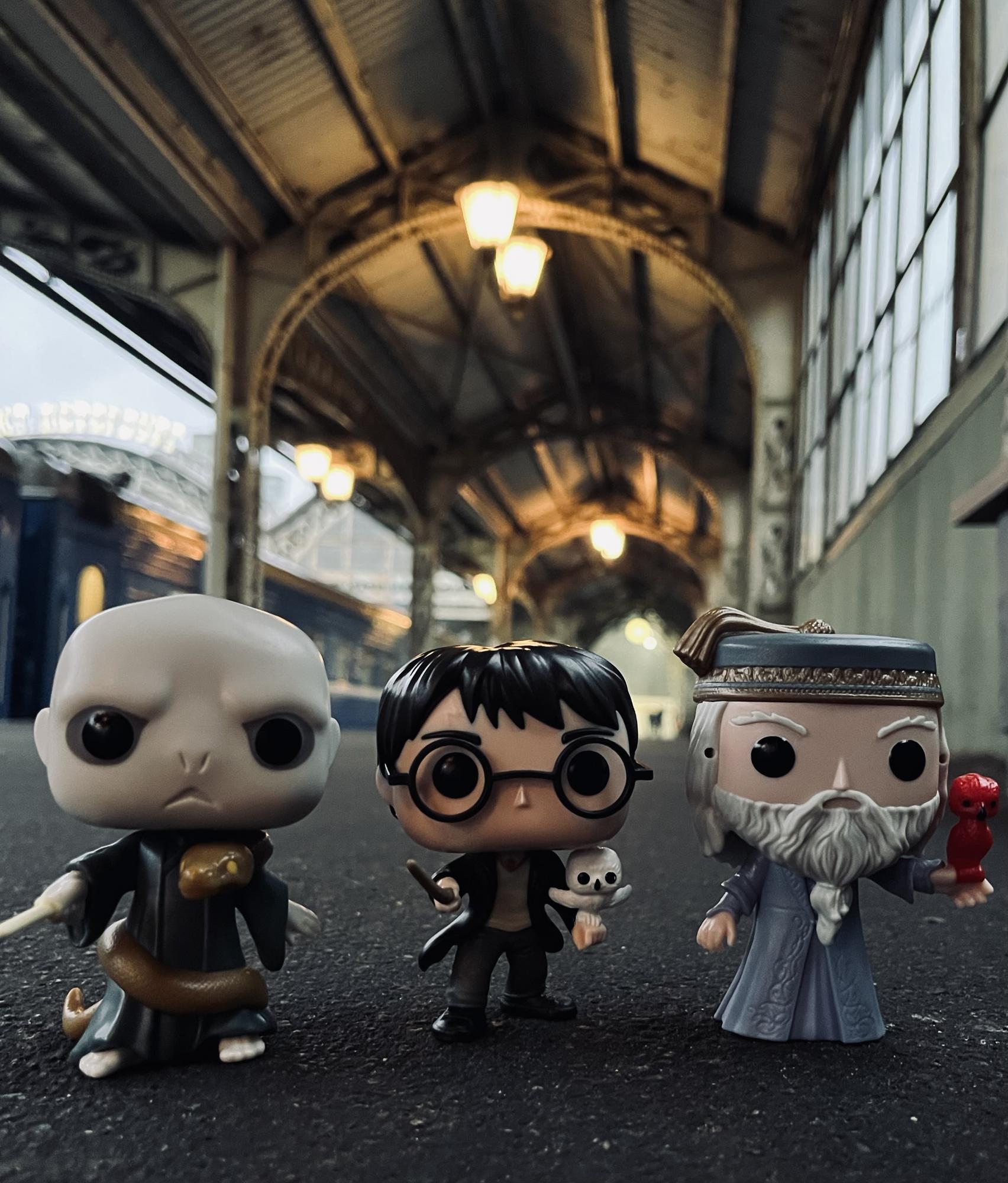 Коллекция Гарри Поттер (Киндер Макси 2025)