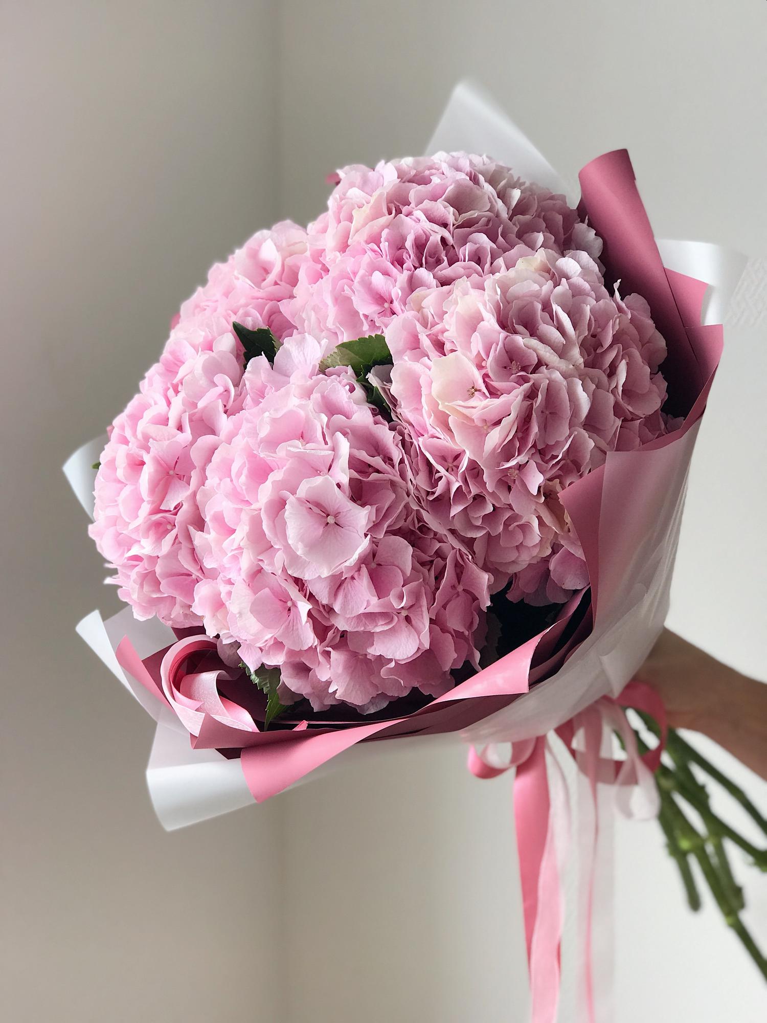 Гортензия Ультрамарин - купить в Москве | Flowerna