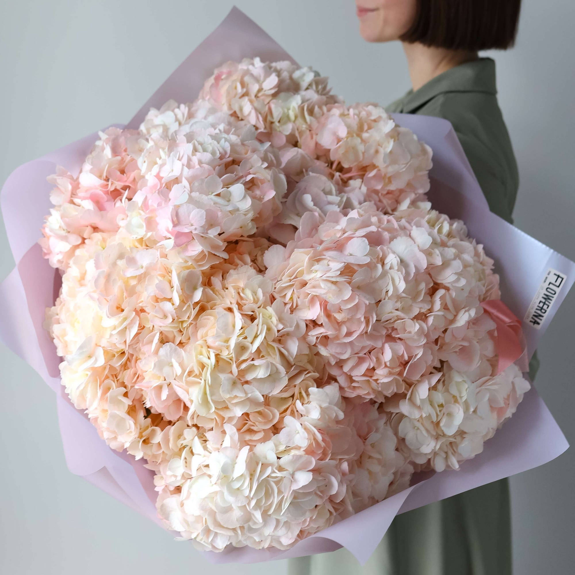 Гортензия Верена Розовая - купить в Москве | Flowerna