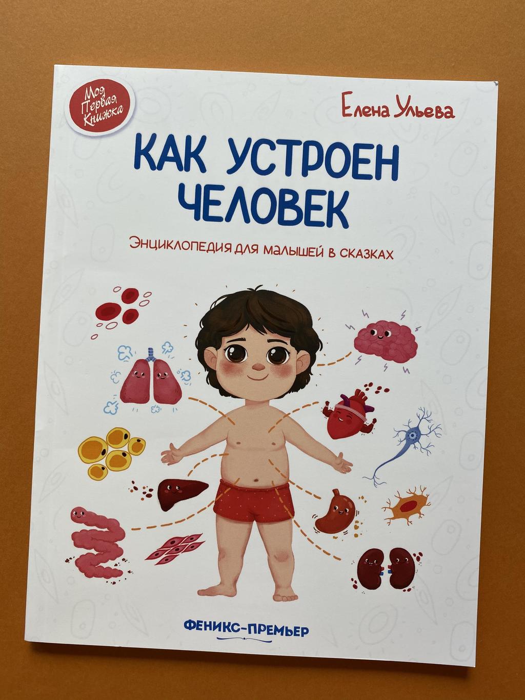 Как устроен человек. Ульева