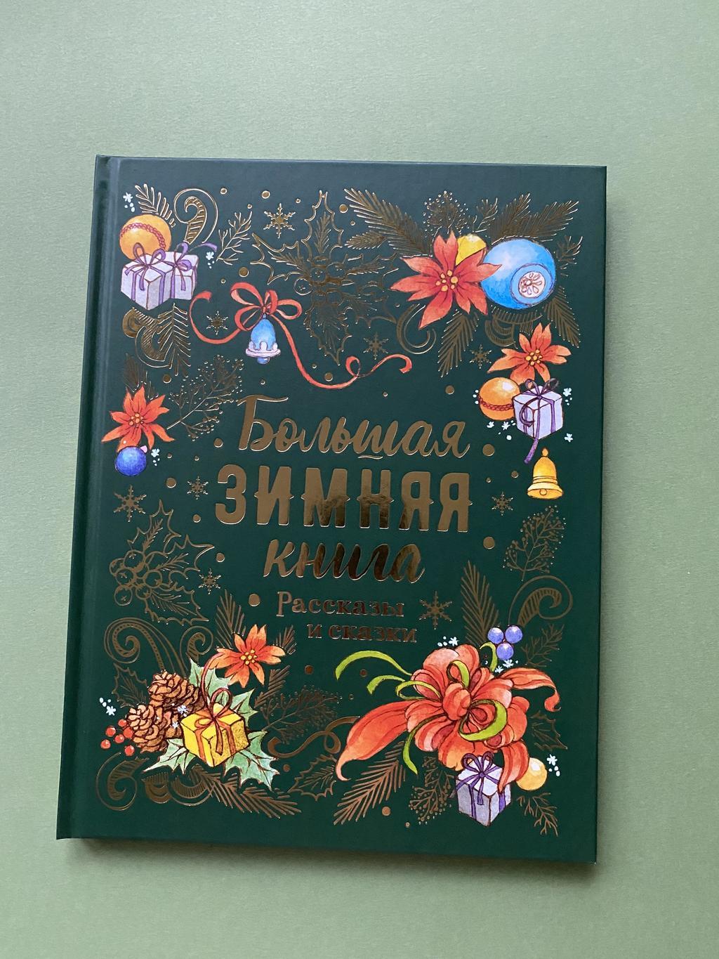 Большая зимняя книга