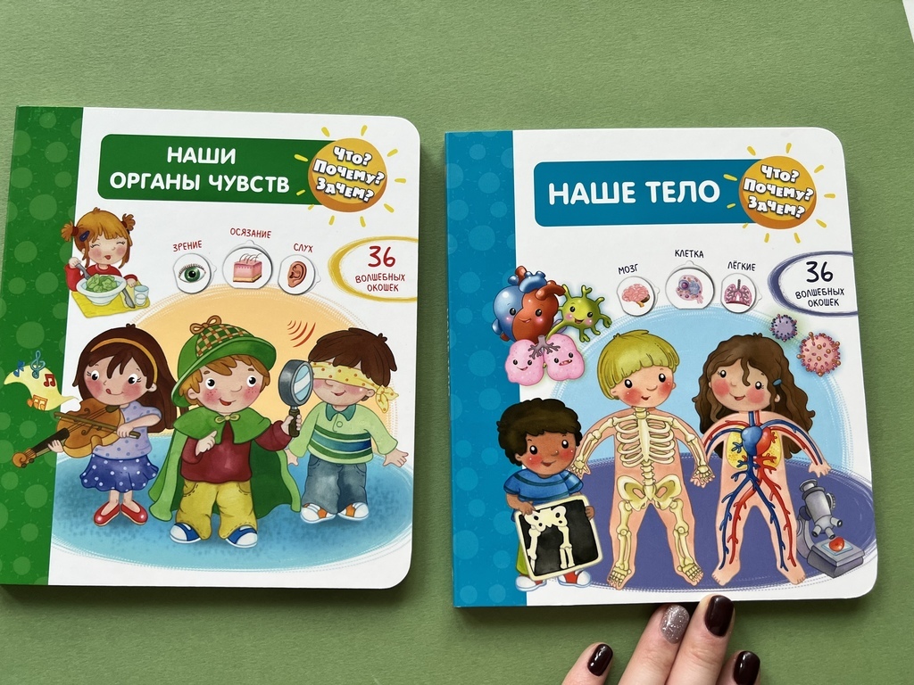 Наше тело/Наши органы чувств. Окошки