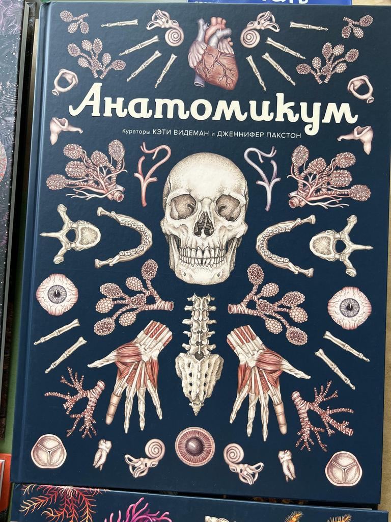 Анатомикум