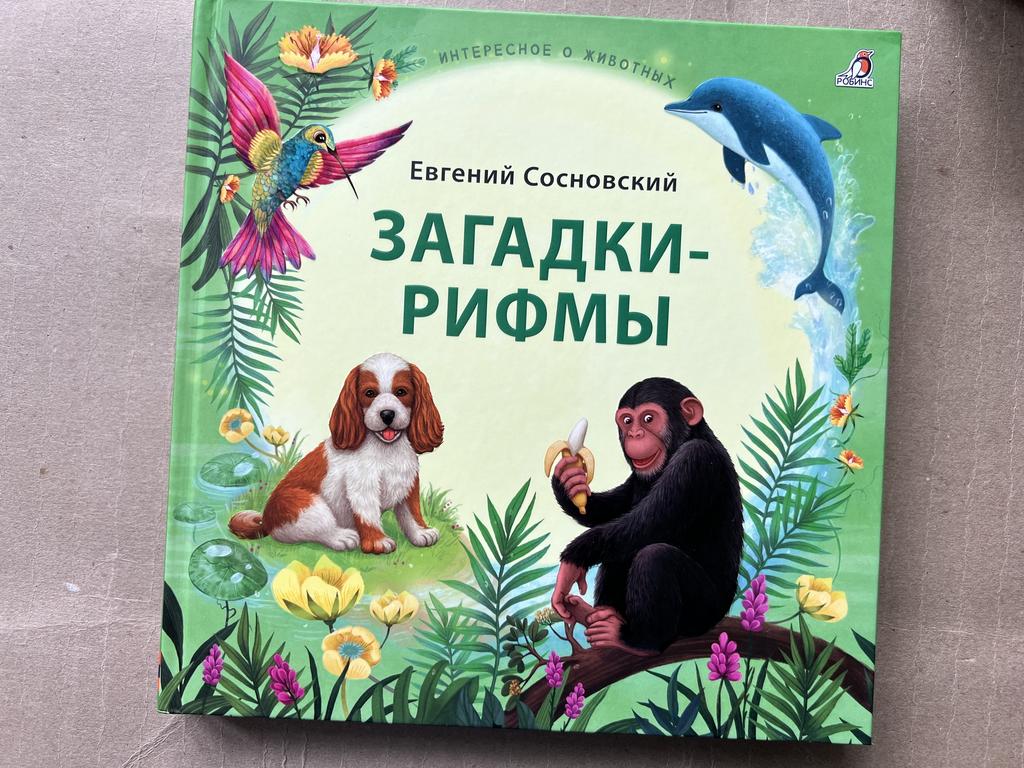 Загадки-рифмы