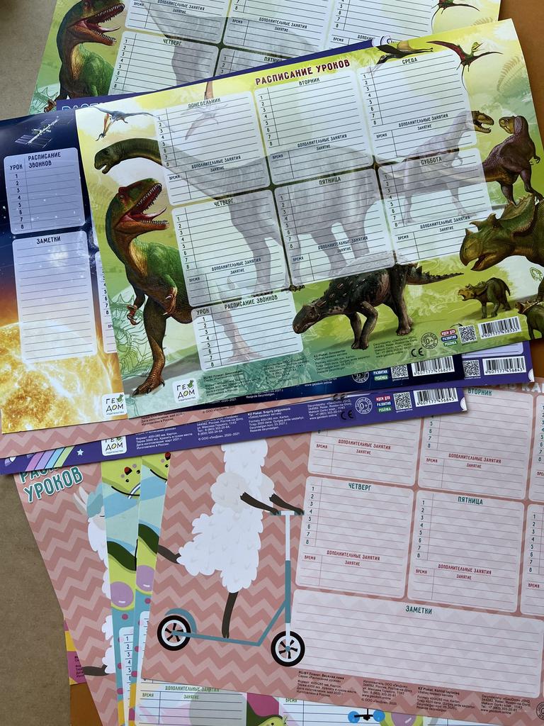 Расписания уроков и внешкольных занятий