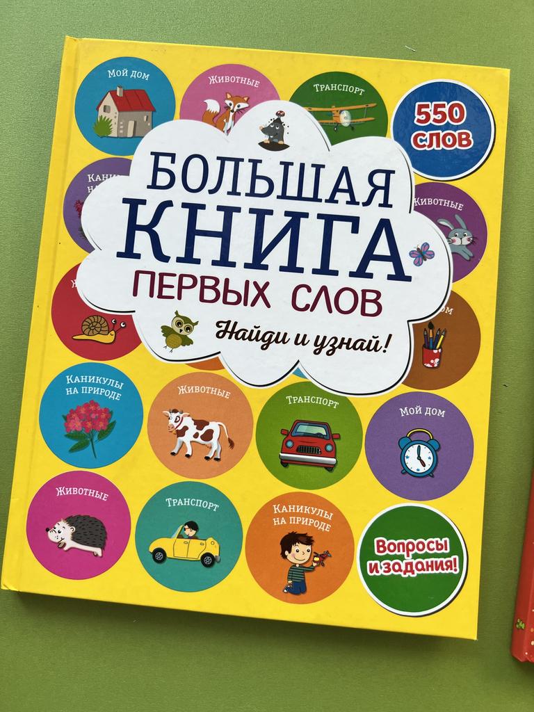 Большая книга первых слов. Найди и покажи