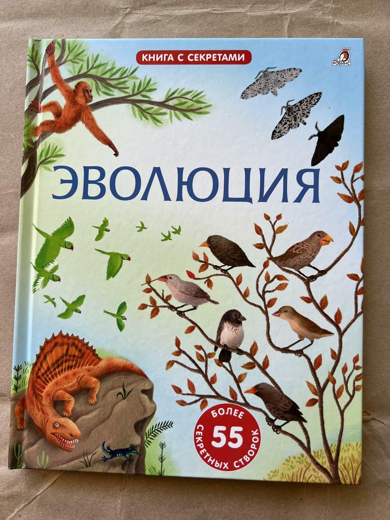 Эволюция. Волшебные окошки