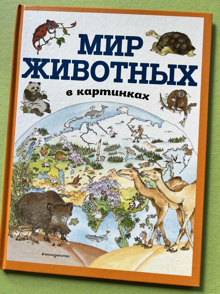 Мир животных в картинках