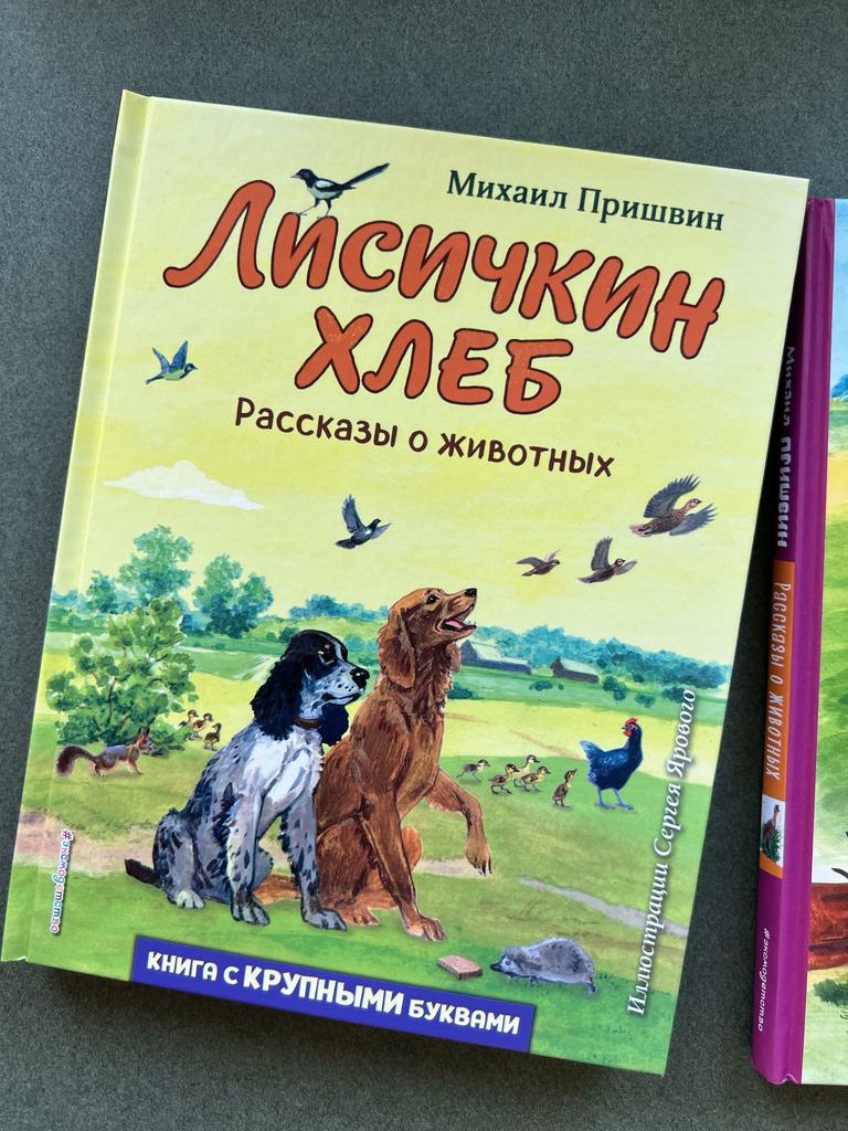 Лисичкин хлеб. Книга с крупными буквами