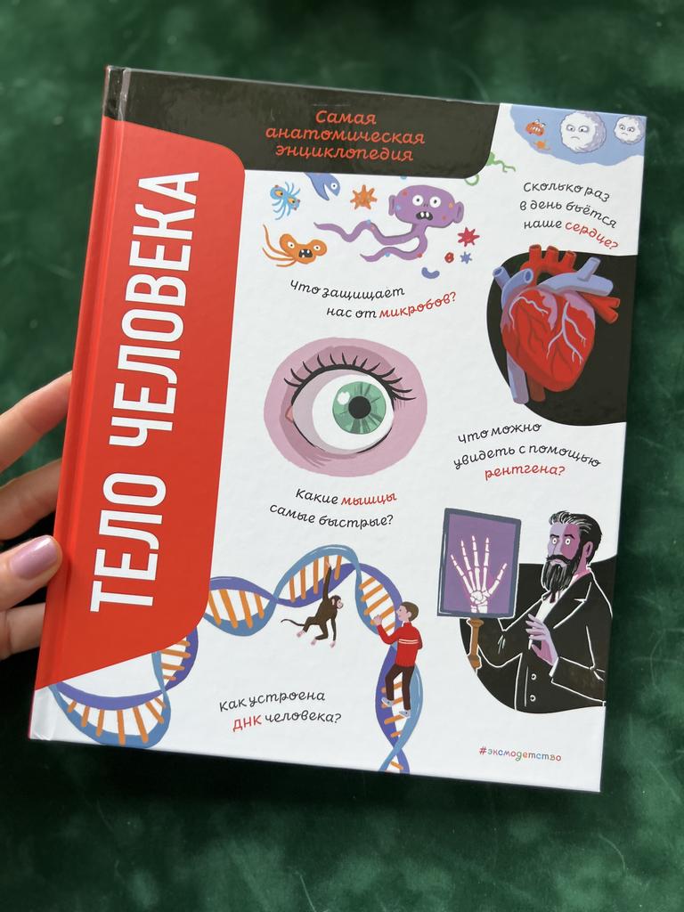 Тело человека. Самая анатомическая энциклопедия