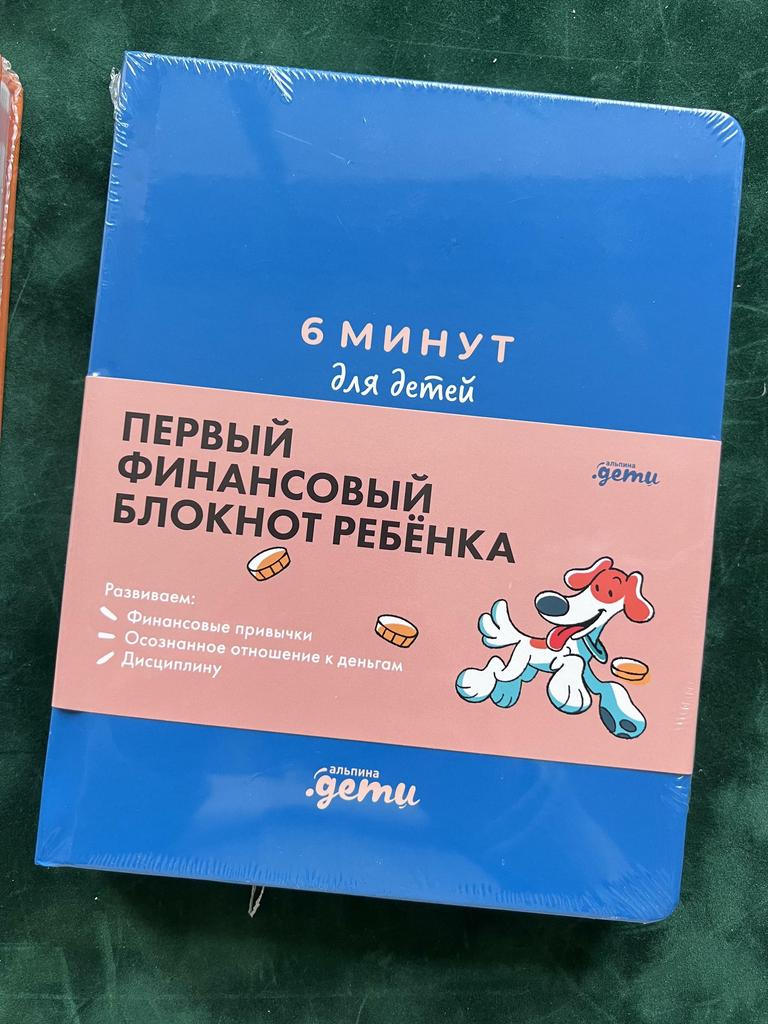 6 минут. Первый финансовый дневник для детей